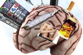 El cerebro adicto cómo las drogas anulan las capacidades humanas