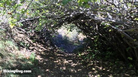 Rustic cabin in the wilderness! Hike Holy Jim Falls Trail - HikingGuy.com