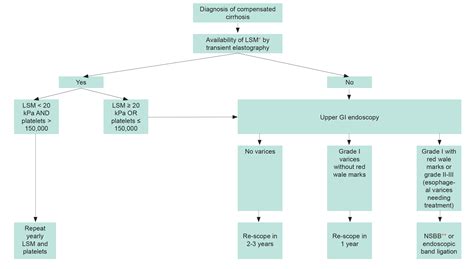 Liver Cirrhosis Classification Surveillance EACS Guidelines