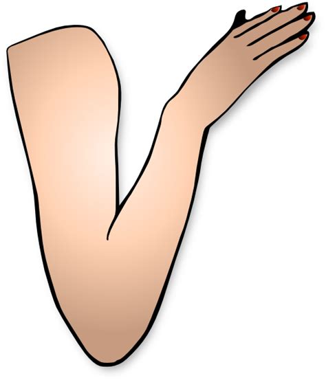 Arm And Hand Clip Art At Clker Com Vector Clip Art Online Royalty Free Public Domain