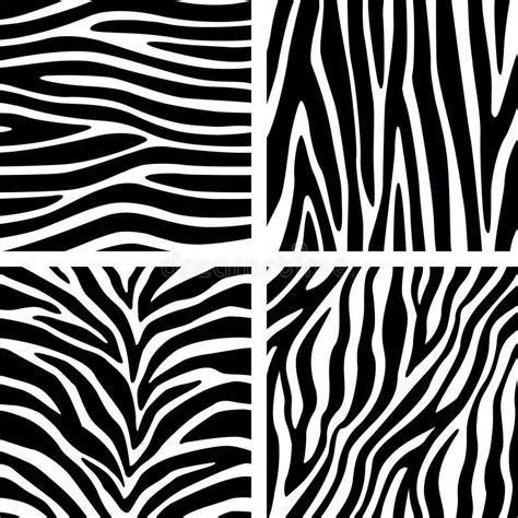 Zebra Stripes Seamless Pattern Set Stock Vector Illustration Of