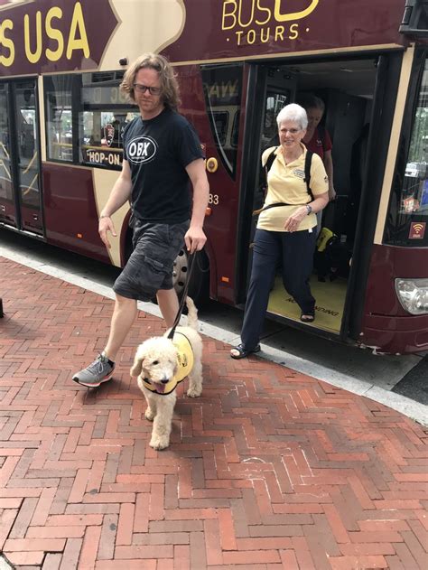 Riding Buses Guide Dog Guide Dog Training Assistance Dog