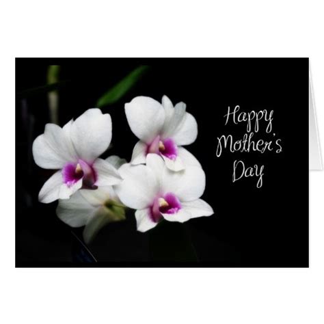 Happy Mothers Day Orchids Greeting Card Zazzle