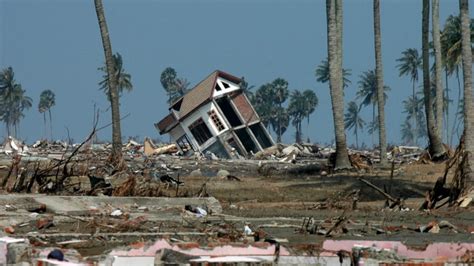 2004 Indian Ocean Earthquake And Tsunami Preventionweb