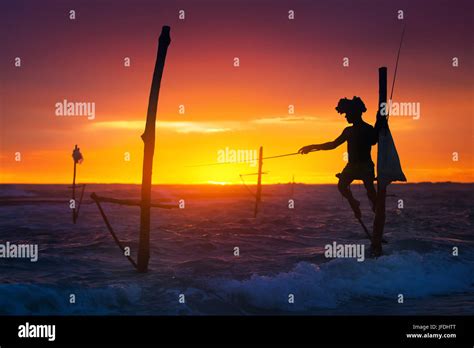Sri Lankas Stilt Fisherman Fishing On Stilt Is Very Common In Many