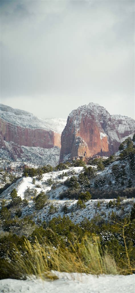Zion National Park Wallpaper For Iphone 11 Pro Max X 8 7 6 Free
