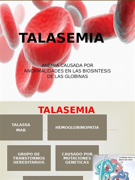 Talasemia Pdf Hematología Sangre