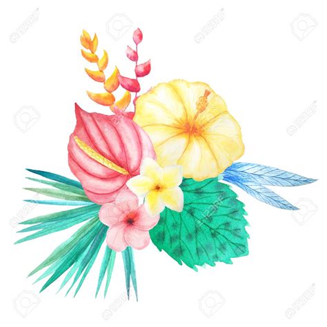 Jungle Flowers Clipart Free Download On Clipartmag