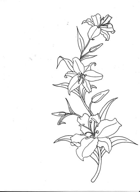 Lilly Flower Drawing Lilies Drawing Lotus Flower Art Lily Tattoo