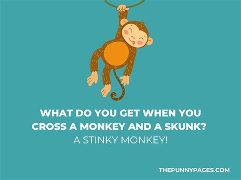 100 Funny Monkey Jokes And Puns