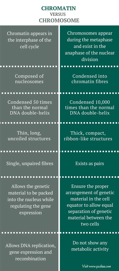 The word chromosomes is derived from two words, chroma, meaning colour and soma, meaning body. Difference Between Chromatin and Chromosome | Structure ...