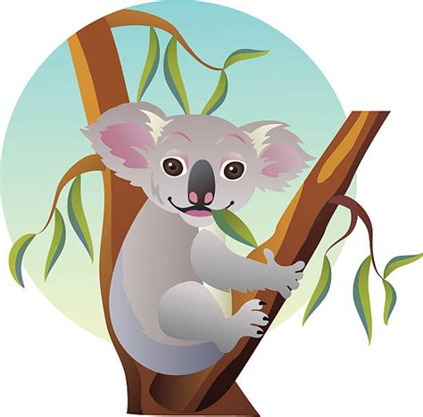 Baby Koala Clipart Free Download On Clipartmag