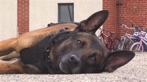 Salems Police K 9 Unit Looking To Raise Much Needed Funds Lost Since