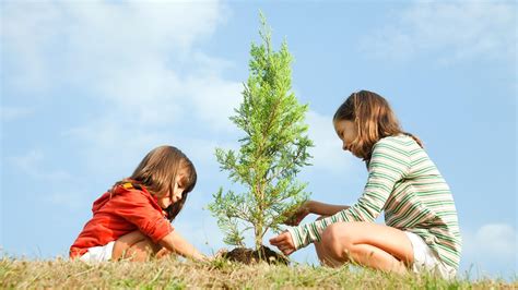 1000 De Copii Luptă Pentru Un Mediu Curat 10000 De Copaci Vor Fi