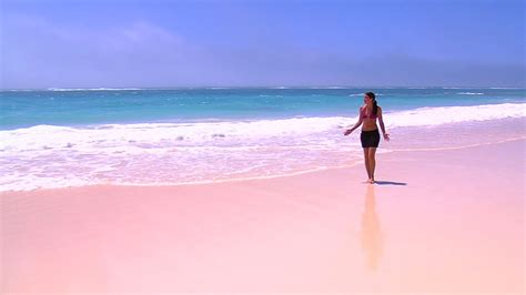 Pink Sand Beach Voici à Quoi Ressemble Vraiment La Fameuse Plage De