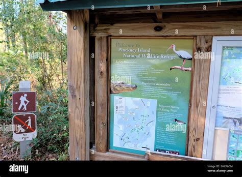 Pinckney Island National Wildlife Refuge In Hilton Head South Carolina