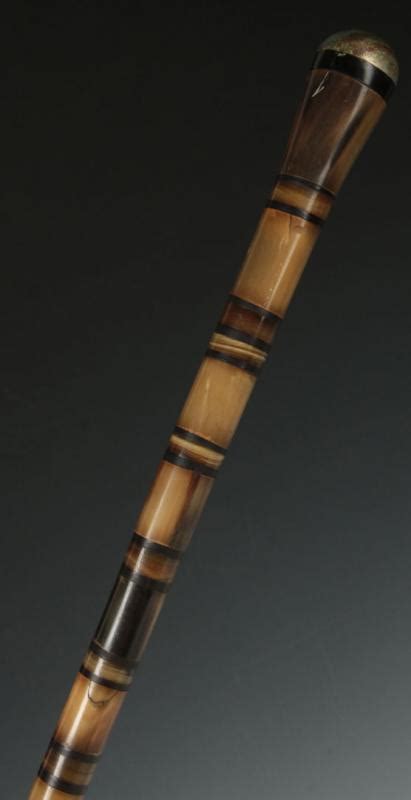 32 An Antique Multi Colored Carved Horn Walking Stick