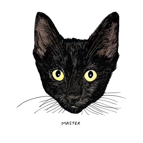 All Black Cats Are Not Alike The New Yorker