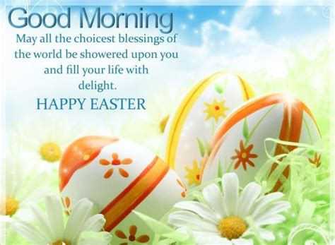 Good Morning Happy Easter Pictures Photos And Images For Facebook