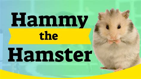Hammy The Hamster Children Book Hammy The Hamster Story For Kids Read