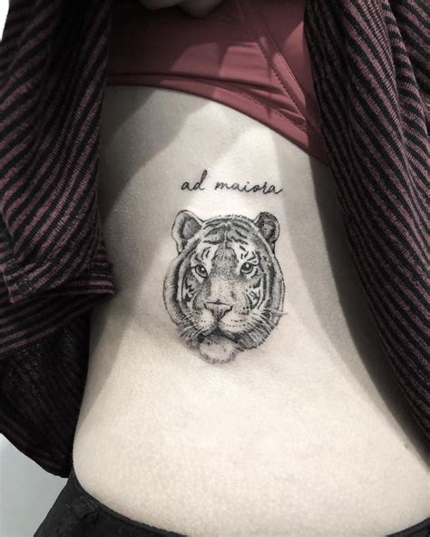 Jmunz On Instagram Tiger 🐅 Contact Or Dm For Booking Follow