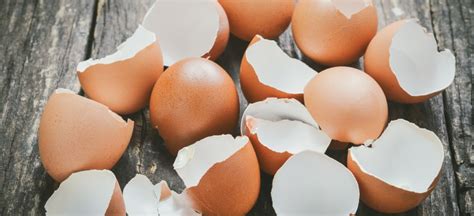 Eggshell Uses Eggshell Benefits And How To Eat Eggshells Dr Axe