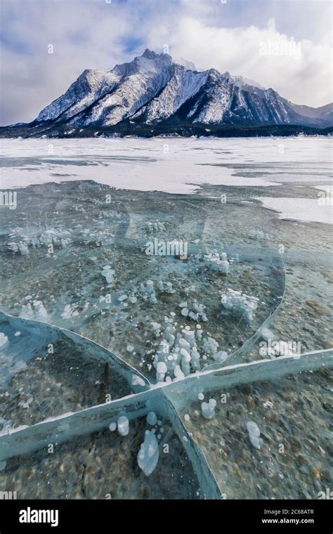 Methane Bubbles Frozen In Ice Abraham Lake Alberta Canada Stock