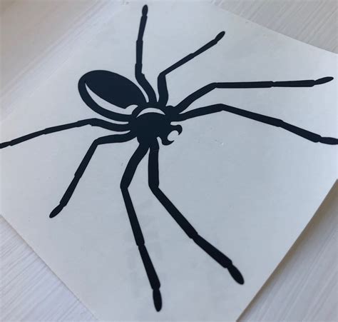 Black Spider Halloween Vinyl Decal Sticker 8cm X 85cm Wine Etsy