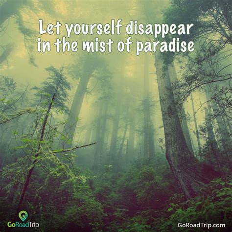 Let Yourself Disappear In The Mist Of Paradise Quotes Mists Travel