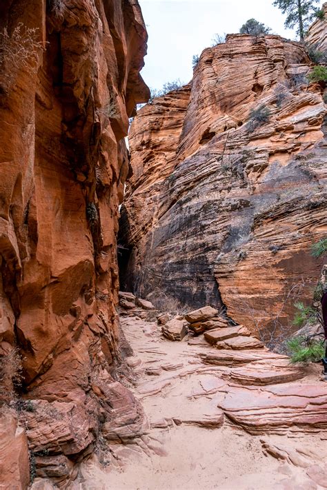Hiking To Echo Canyon Passage In Zion National Park JNfinity Films