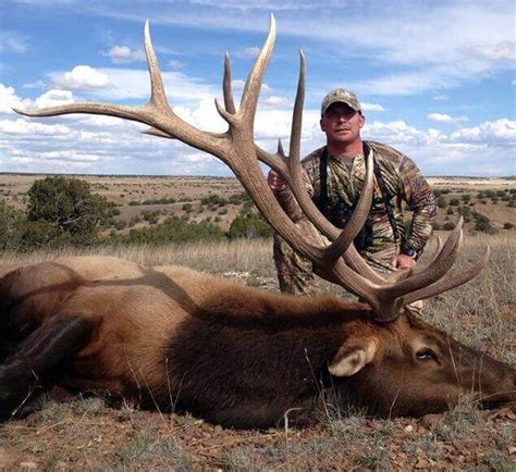 New Mexico Elk Outfitter Unit 12