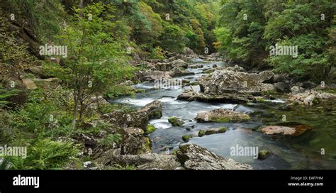 The River Glaslyn Flows Between The Trees And Rocks Of The Aberglaslyn