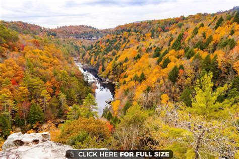 View From Lilly Bluff Overlook Obed Wild And Scenic River Tennessee