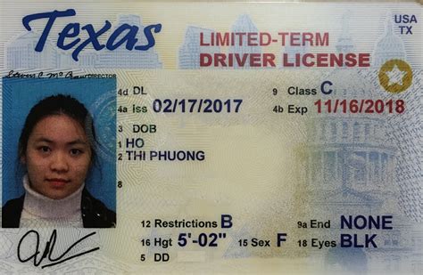 Studying A Drivers License In The United States