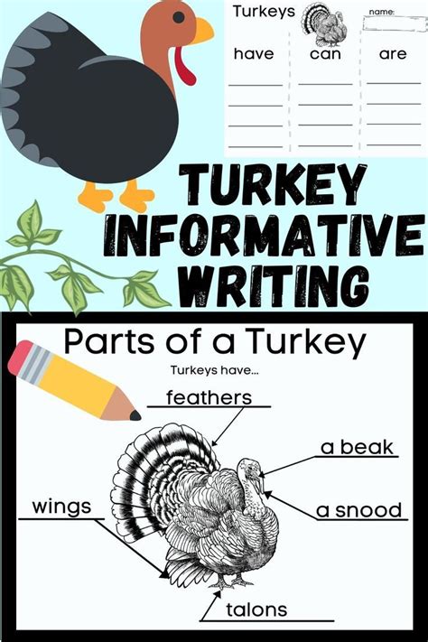 Labeling A Turkey Activity For Thanksgiving Writing Centers With Lined