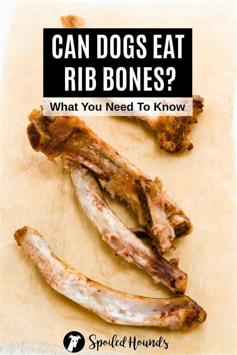 Are Cooked Beef Rib Bones Safe For Dogs