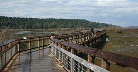 Nisqually National Wildlife Reserve Olympia Roadtrippers