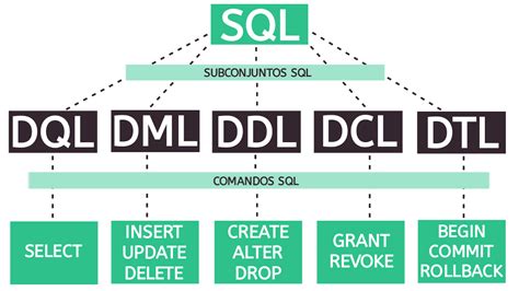 SQL O que é e como usar os principais comandos básicos SQL Insights para te ajudar na