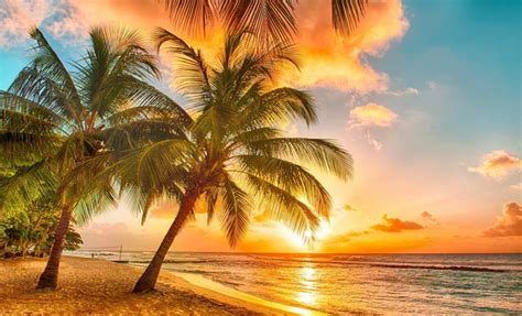 438 images gratuites de coucher de soleil sur la mer. Belle couleur - Cocotiers - Lever du soleil - Lumières ...