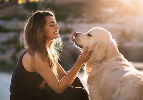 Segundo Estudo Amor Entre Cachorro E Dono é O Mesmo De Mãe E Filho