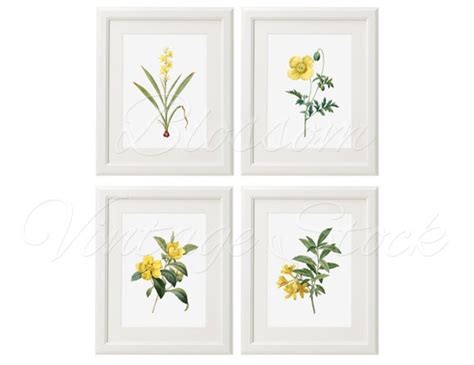 Botanical Print Set Yellow Flower Botanical Instant Download Etsy