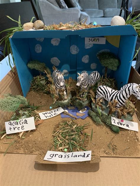 Zebra Diorama Project For 2nd Grade Craft Projects Crafts Projects
