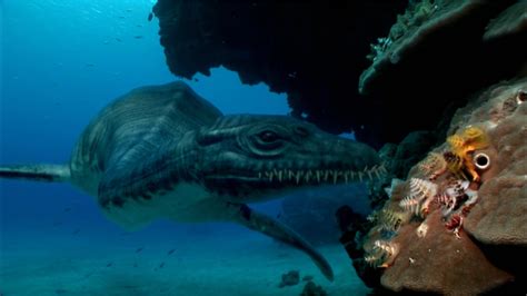 Nova Australias First Four Billion Years Ancient Sea Reptiles Pbs