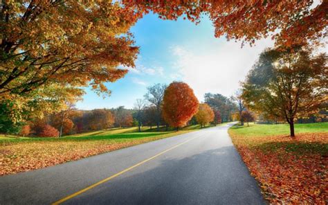 Nature Landscapes Roads Trees Leaves Autumn Fall Seasons Colors