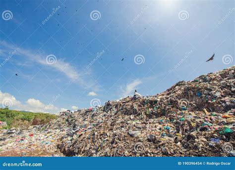 Pile Of Household Garbage In The Landfill Trash In Municipal Landfills