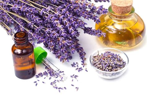 Lavender For Anxiety The Best Way To Use This Calming Herb Spices Plate