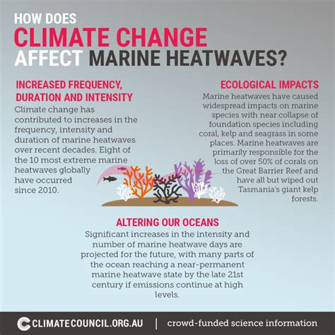 In Hot Water Climate Change Marine Heatwaves And Coral Bleaching