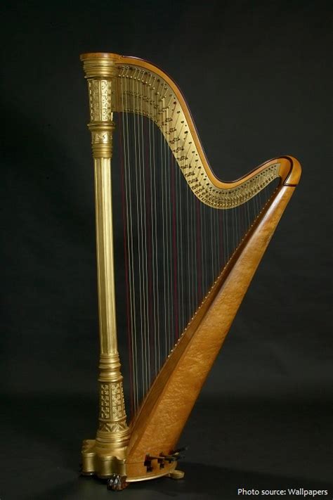 Interesting Facts About Harps