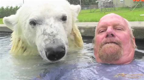 The Only Man In The World Who Can Swim With A Polar Bear Grizzly Man Polar Bear Video Polar