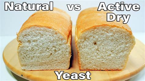 Natural Yeast Vs Active Dry Yeast Bread Sandwich Bread Recipe No